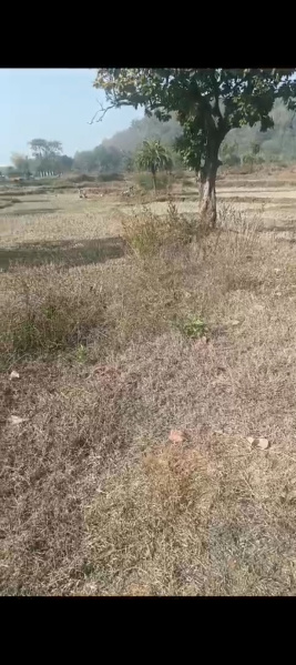  Farm House 12 Acre for Sale in Handapa, Angul