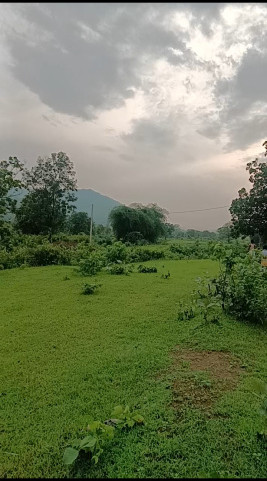  Industrial Land 5 Acre for Sale in Handapa, Angul