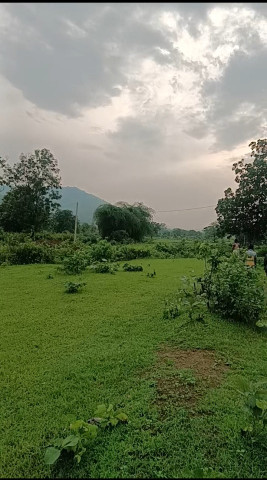 Industrial Land 5 Acre for Sale in Handapa, Angul