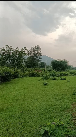 Industrial Land 5 Acre for Sale in Handapa, Angul
