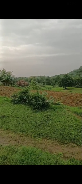  Farm House 5 Acre for Sale in Athmallik, Angul