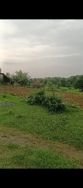  Farm House 5 Acre for Sale in Athmallik, Angul