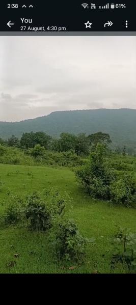  Farm House 5 Acre for Sale in Athmallik, Angul