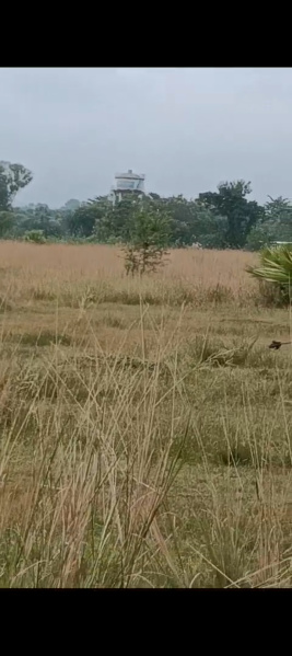  9 Acre Industrial Land for Sale in Handapa, Angul