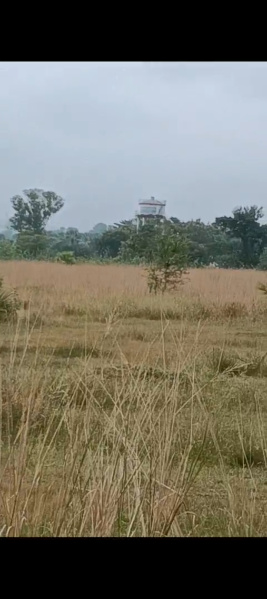  9 Acre Industrial Land for Sale in Handapa, Angul