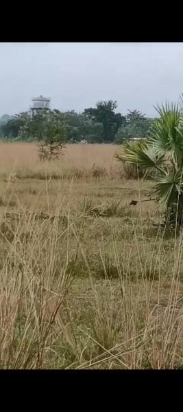  9 Acre Industrial Land for Sale in Handapa, Angul