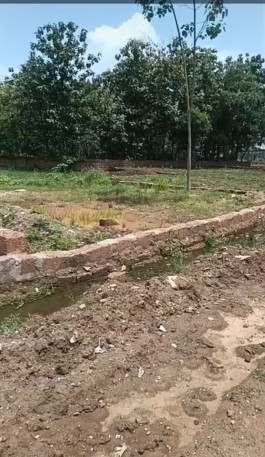  Residential Plot 2600 Sq.ft. for Sale in Bazarapada, Angul