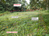  Residential Plot for Sale in Nooranad, Alappuzha