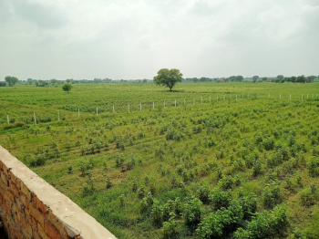  Agricultural Land for Sale in Naugaon, Alwar