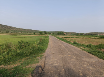  Agricultural Land for Sale in Naugaon, Alwar