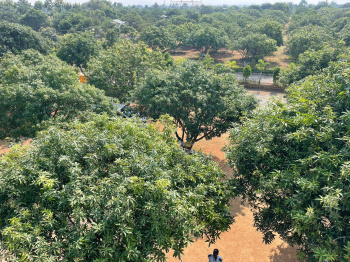  Agricultural Land for Sale in Karimnagar, Siddipet