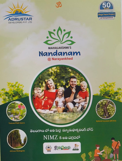  Agricultural Land 303 Sq. Yards for Sale in Narayankhed, Sangareddy