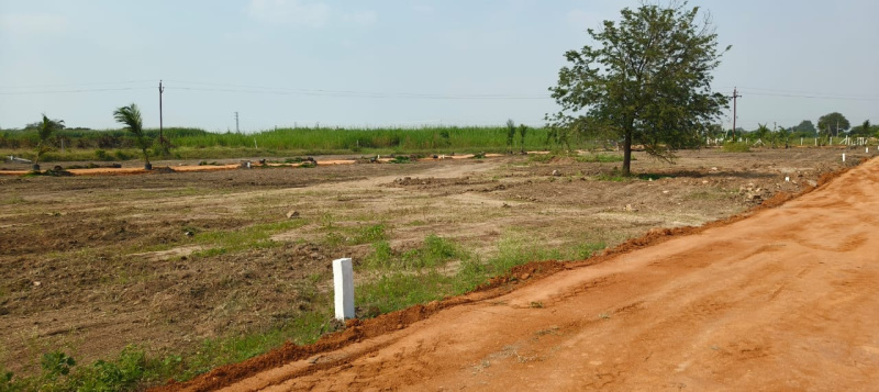  Agricultural Land 242 Sq. Yards for Sale in Kandukuru, Hyderabad