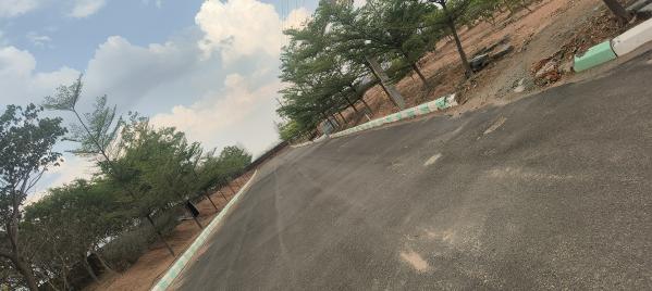  Residential Plot 147 Sq. Yards for Sale in Amangal, Hyderabad