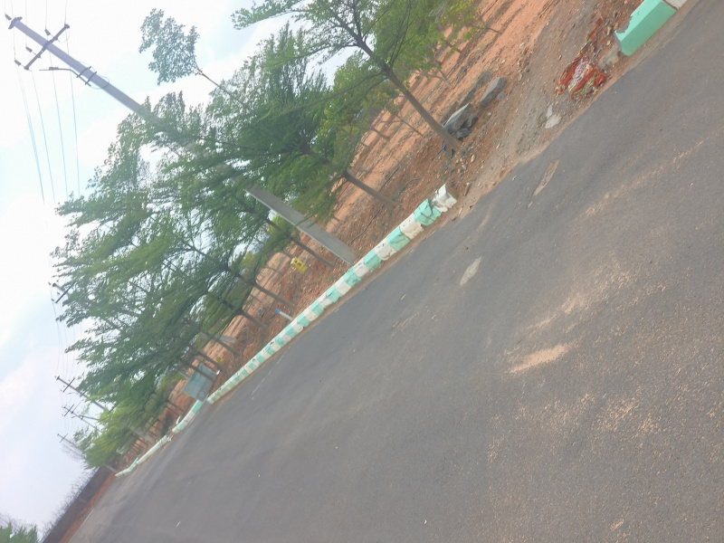  Residential Plot 147 Sq. Yards for Sale in Amangal, Hyderabad