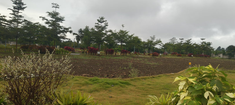  121 Sq. Yards Agricultural/Farm Land for Sale in Narayankhed, Sangareddy