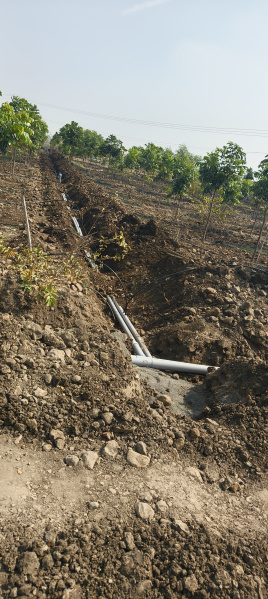  121 Sq. Yards Residential Plot for Sale in Narayankhed, Sangareddy