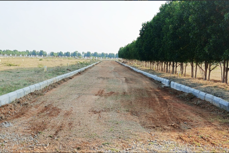  121 Sq. Yards Residential Plot for Sale in Narayankhed, Sangareddy