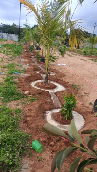  121 Sq. Yards Residential Plot for Sale in Narayankhed, Sangareddy