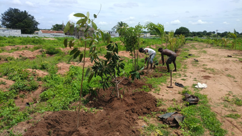  121 Sq. Yards Residential Plot for Sale in Shadnagar, Hyderabad