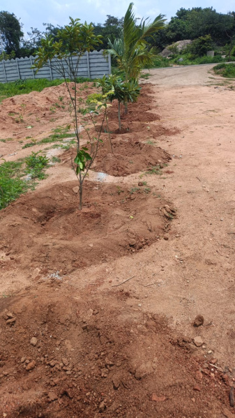  121 Sq. Yards Residential Plot for Sale in Shadnagar, Hyderabad