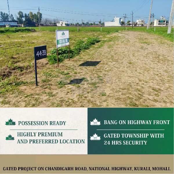  Residential Plot 125 Sq. Yards for Sale in Kurali, Mohali