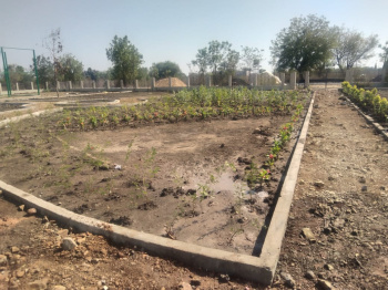  Residential Plot for Sale in Wakeshwar, Nagpur
