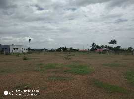  Residential Plot for Sale in Vellalore, Coimbatore