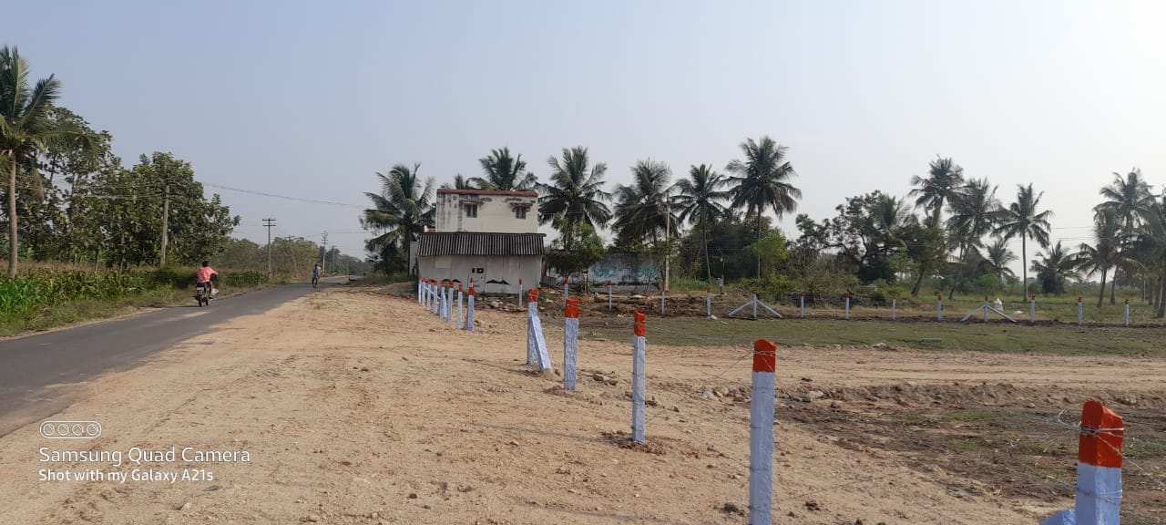 Agricultural Land 21 Cent for Sale in Silvarpatti, Dindigul