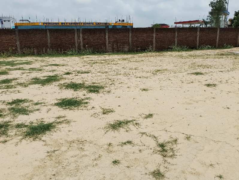  1000 Sq.ft. Residential Plot for Sale in Maniram, Gorakhpur