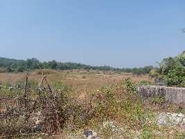  Industrial Land for Sale in Khattalwada, Valsad