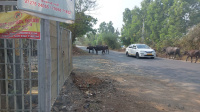  Residential Plot for Sale in Umbergaon, Valsad