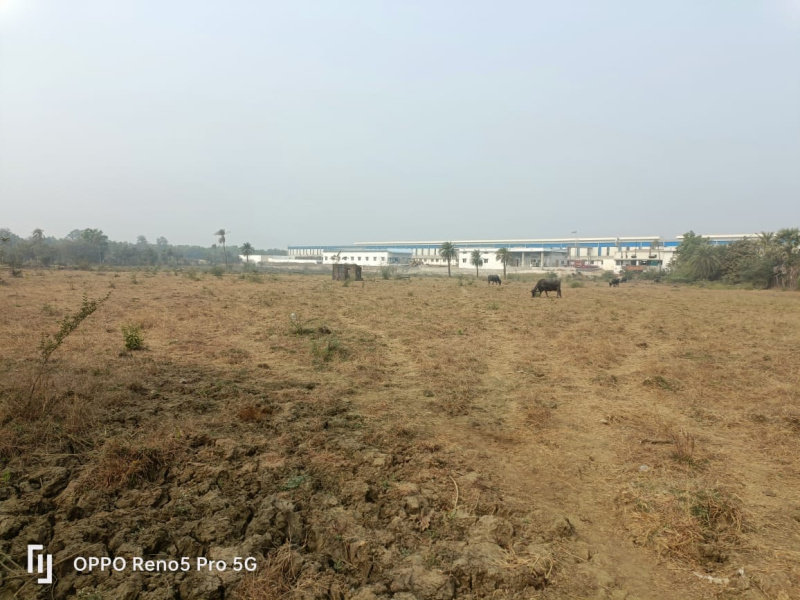 Agricultural Land 13 Acre for Sale in Umbergaon, Valsad