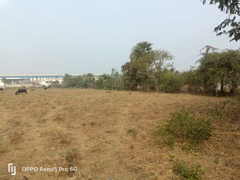  Agricultural Land 13 Acre for Sale in Umbergaon, Valsad