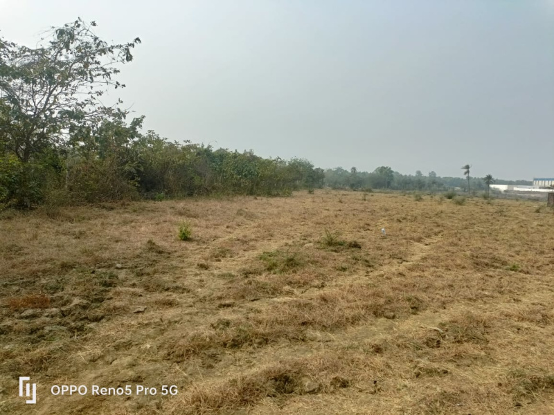  Agricultural Land 13 Acre for Sale in Umbergaon, Valsad