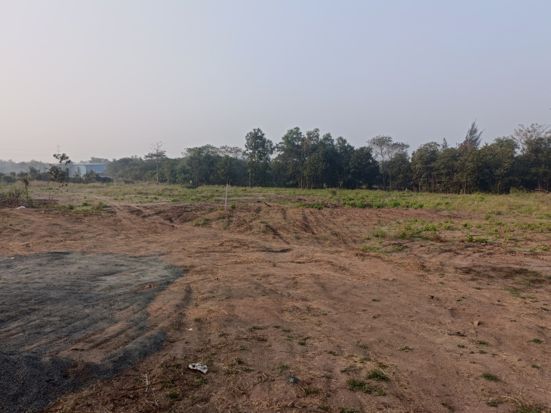  Agricultural Land 20 Guntha for Sale in Umbergaon, Valsad