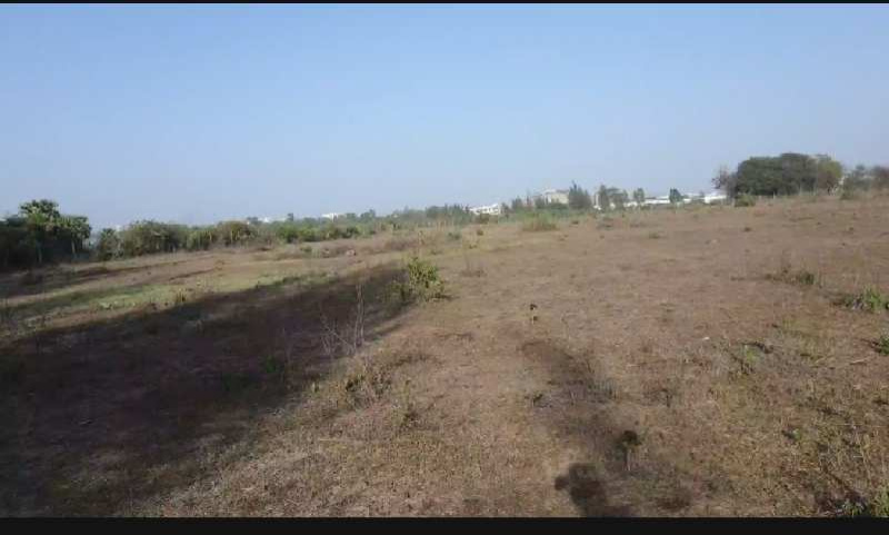  Agricultural Land 7 Acre for Sale in Umbergaon, Valsad