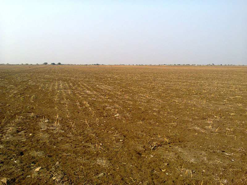  Industrial Land 80 Guntha for Sale in Bhilad, Valsad