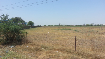  Agricultural Land for Sale in Maroli, Surat