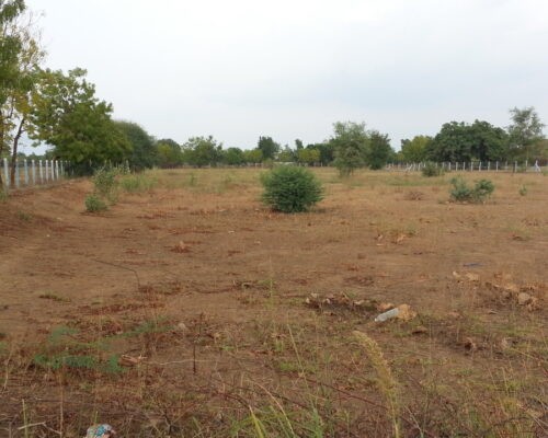  Industrial Land 56000 Sq.ft. for Sale in Chikhli, Navsari