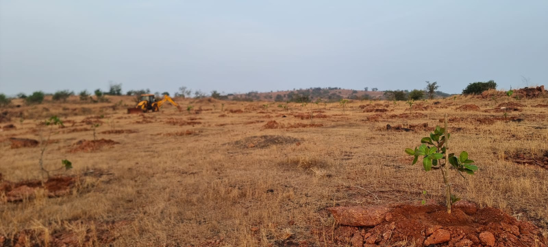  Agricultural Land 58000 Sq.ft. for Sale in Chikhli, Navsari