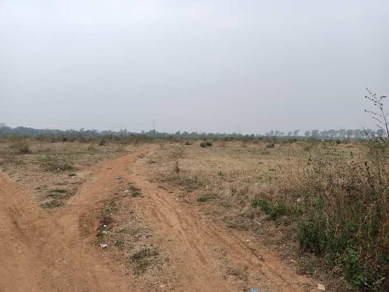  Agricultural Land 58000 Sq.ft. for Sale in Chikhli, Navsari