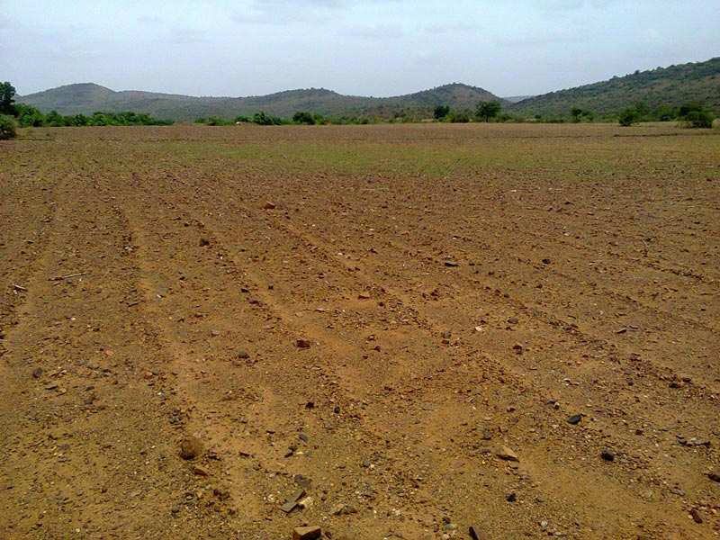  Agricultural Land 14 Sq.ft. for Sale in Pardi, Valsad