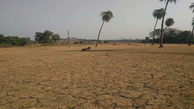  Agricultural Land 14 Acre for Sale in Sarigam, Valsad