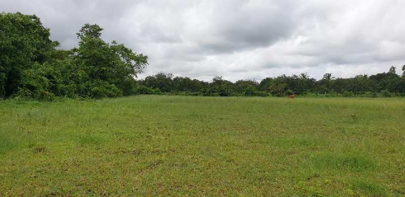  Agricultural Land 14 Acre for Sale in Sarigam, Valsad