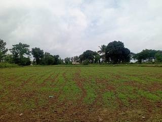  Industrial Land 7000 Sq.ft. for Sale in Bhilad, Valsad