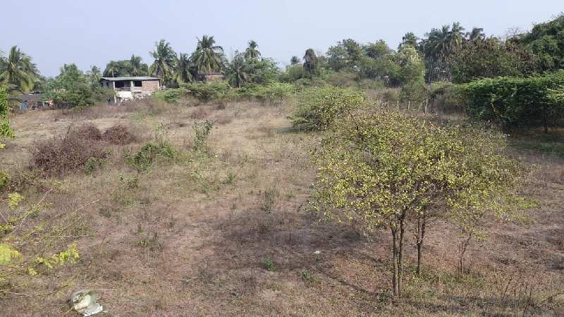  Industrial Land 2786 Sq.ft. for Sale in Umbergaon, Valsad