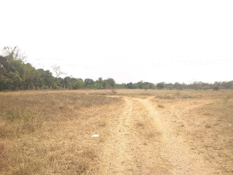  Industrial Land 1 Acre for Sale in Khattalwada, Valsad