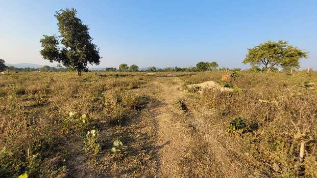  Agricultural Land 3 Acre for Sale in Maroli, Navsari