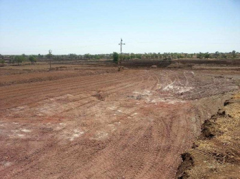  Agricultural Land for Sale in Pardi, Valsad